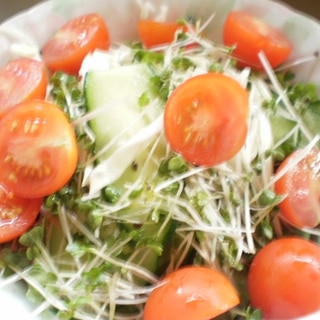 きゅうりとキャベツトマトの生野菜サラダ